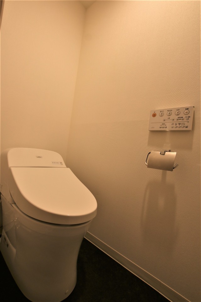 トイレはスマートにタンクレスです。棚があるので本読みこんじゃいそう