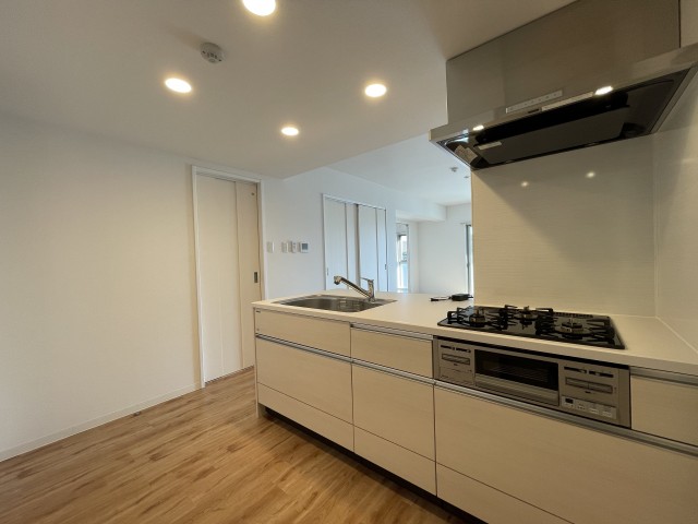 キッチンはダウンライトでスマート