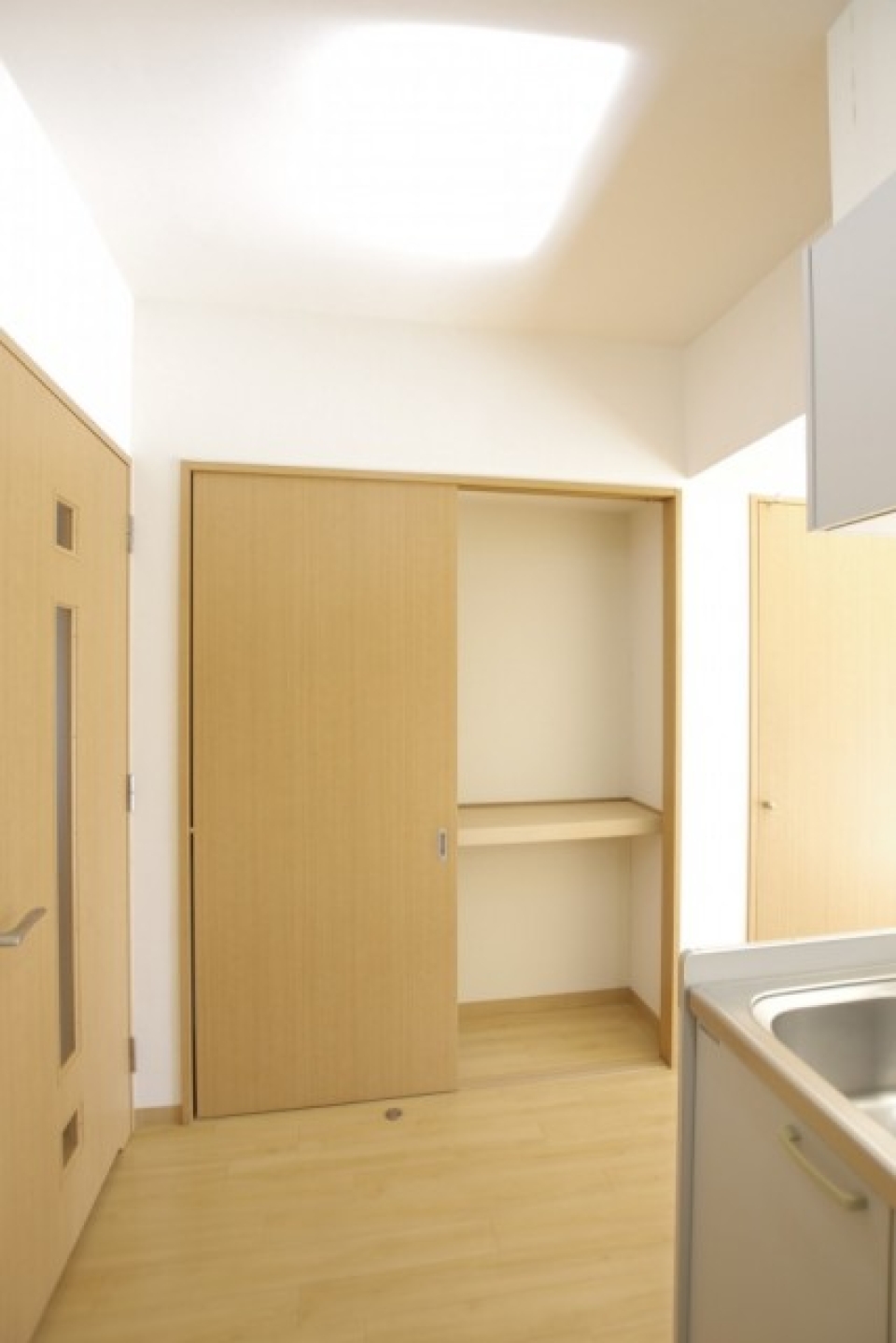 キッチン横にはそんなに奥行きはないが、収納がある