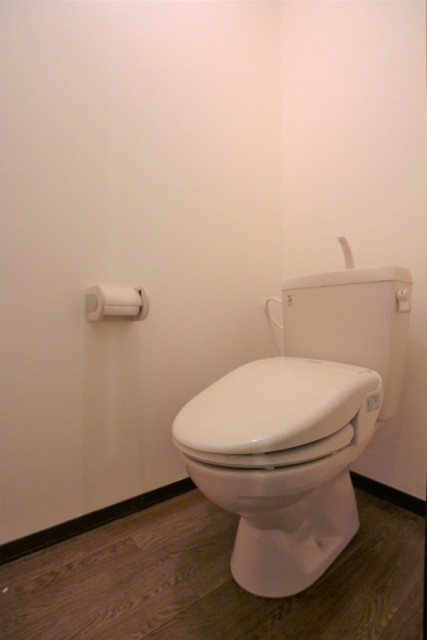 トイレのようす。