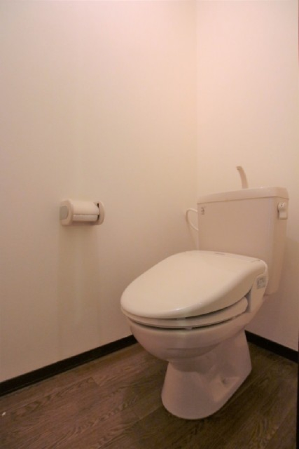 トイレのようす。