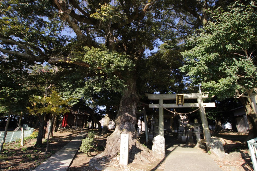 すぐ近くに六所神社。神様に見守られています。