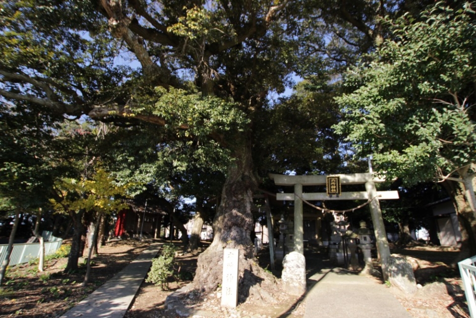 すぐ近くに六所神社。神様に見守られています。
