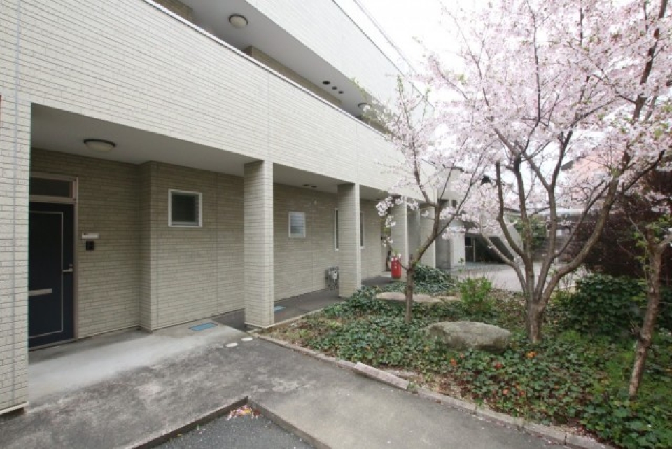 建物エントランスに桜の木が。