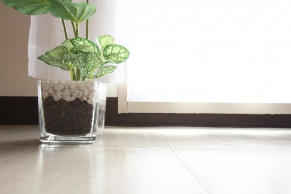 ホワイトカラーのフロアだから自然光が心地良く感じる。