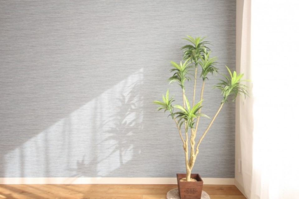 もちろん植物グリーンだって。