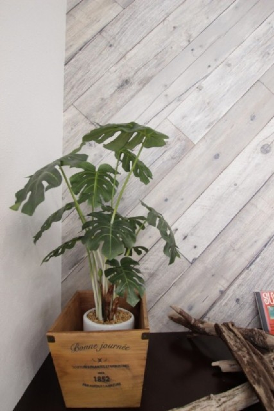 グリーンが映えます。