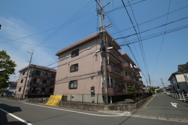 外観はこんな感じ