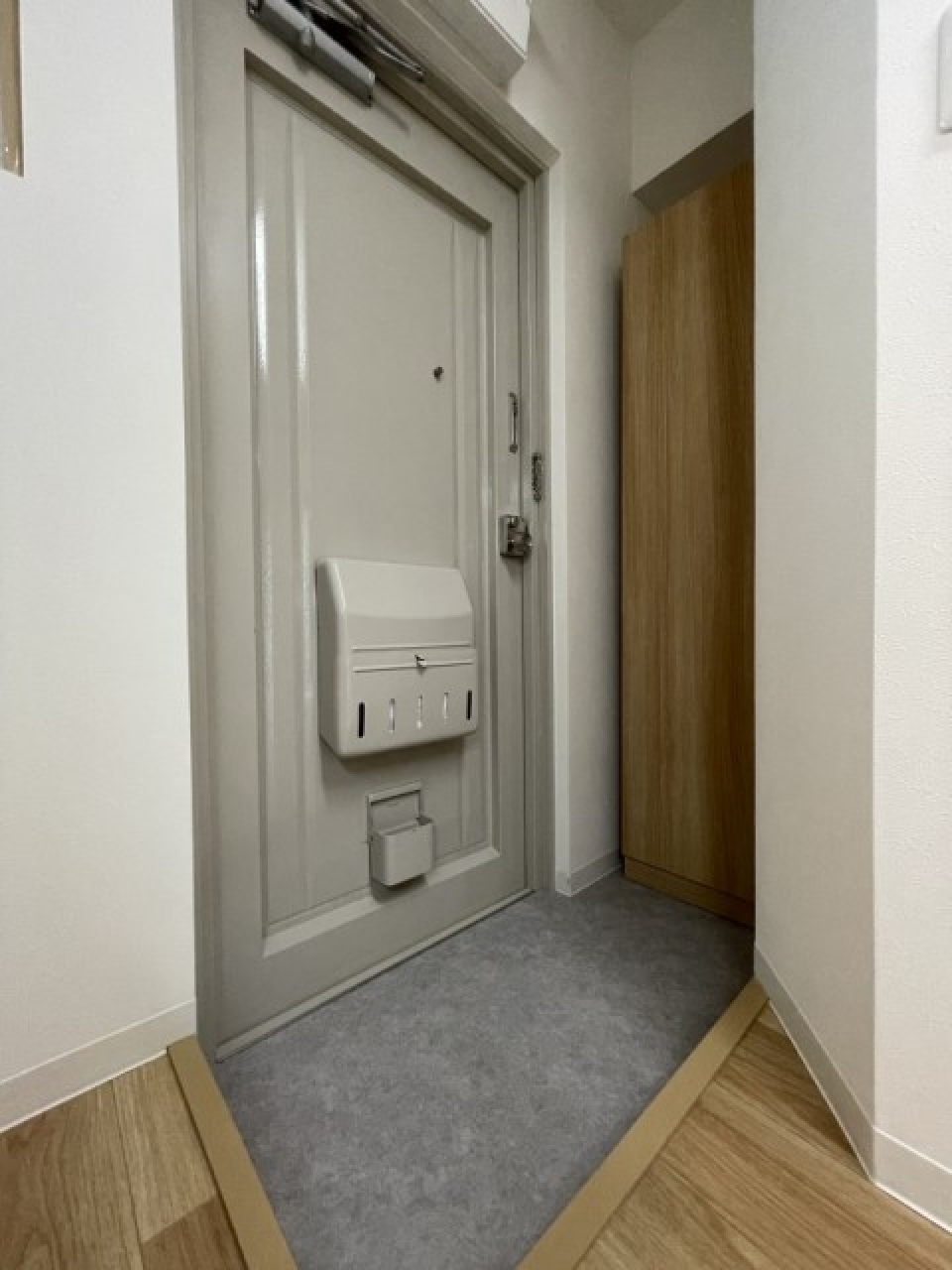 玄関の様子。シューズボックスが嬉しいポイント。