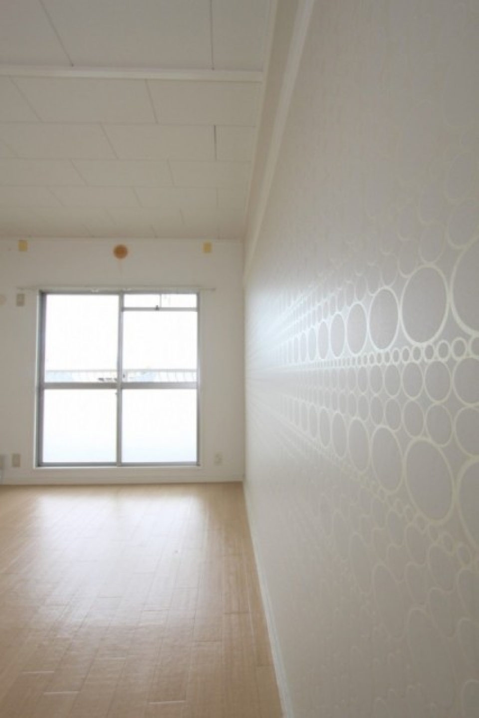 よく見てください。しっかりアクセントウォール使用してます。