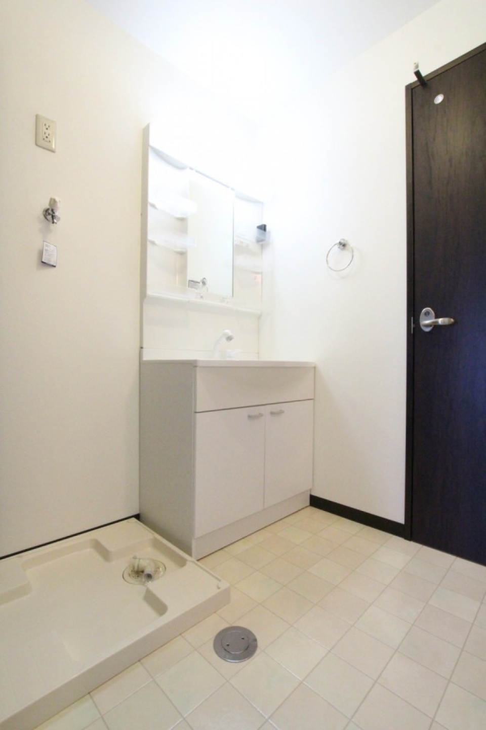 洗面台はシャンプードレッサー付き。