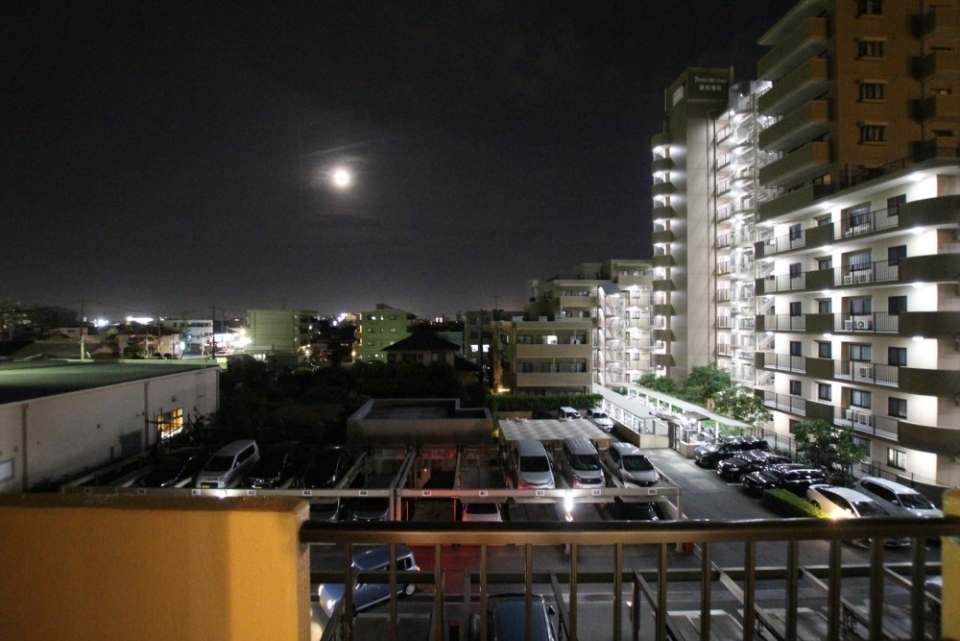 目の前が開けているのでとても開放的な景色です。