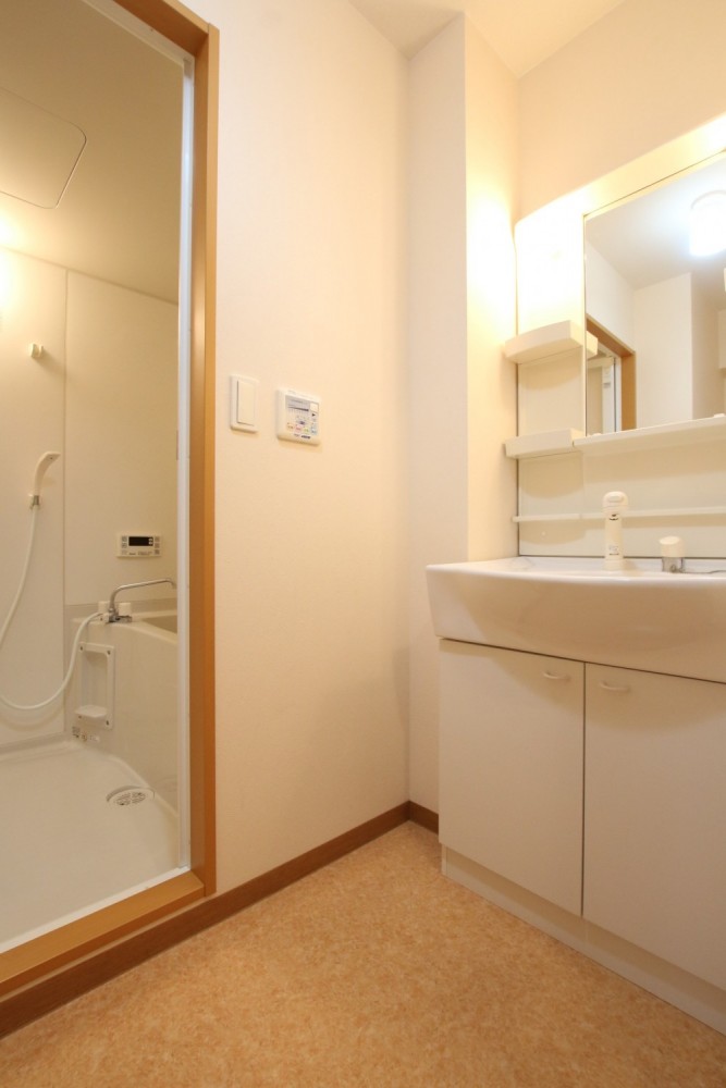 洗面台の対面に洗濯パンが。