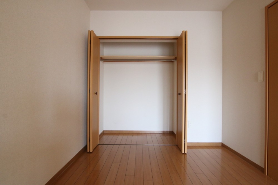 収納はこのクローゼットのみ。