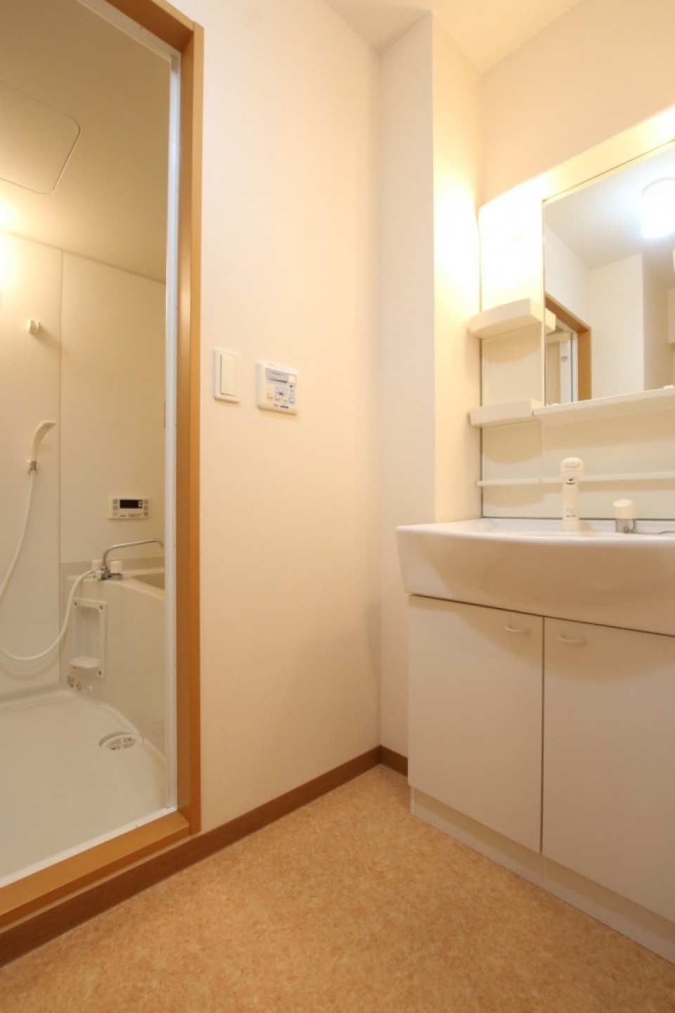 洗面台の対面に洗濯パンが。