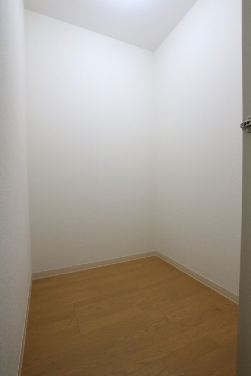 ウォークインクローゼットはシンプルに。照明付きです。