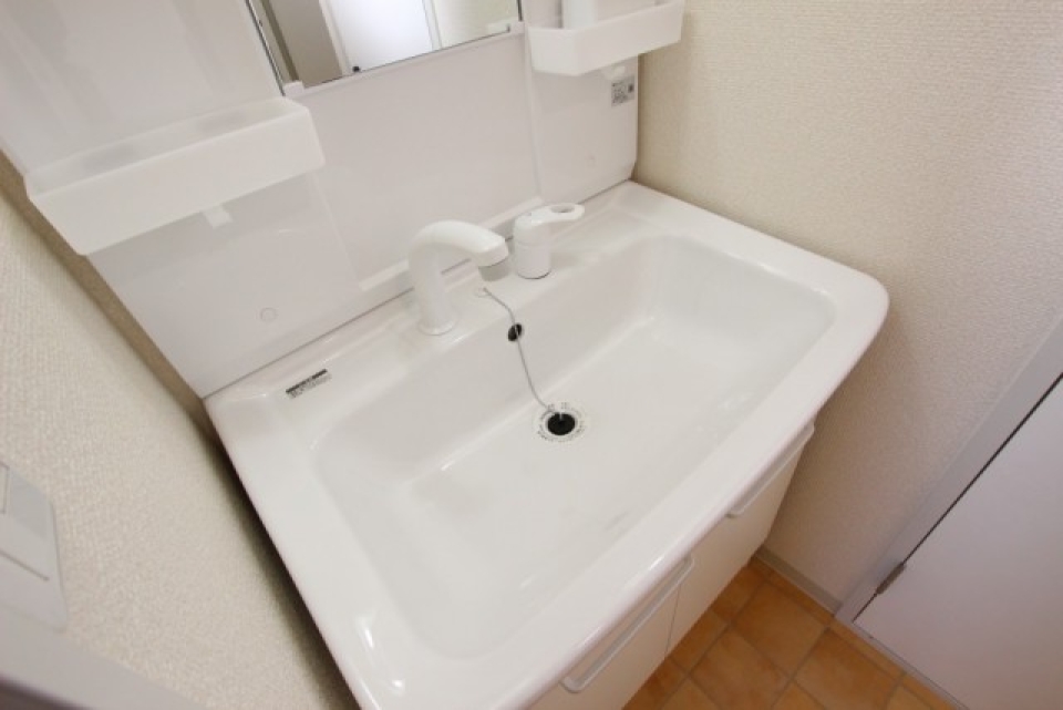 洗面はシャンプードレッサー。