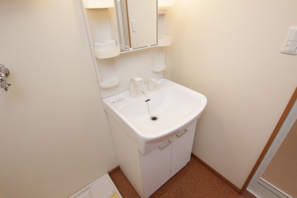 洗面台はシャンプードレッサー。