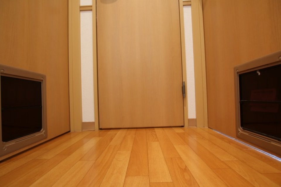 LDKだけでなく、洗面所までペットドアついてるのは珍しいのでは...！？