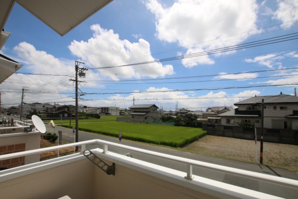 眺めはのどかな田んぼです。