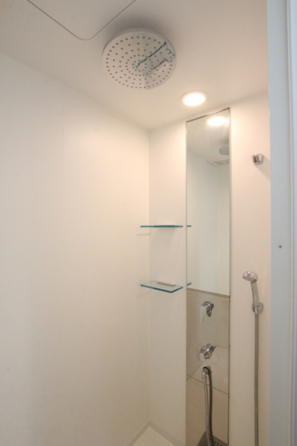 シャワーヘッドに注目してほしい。