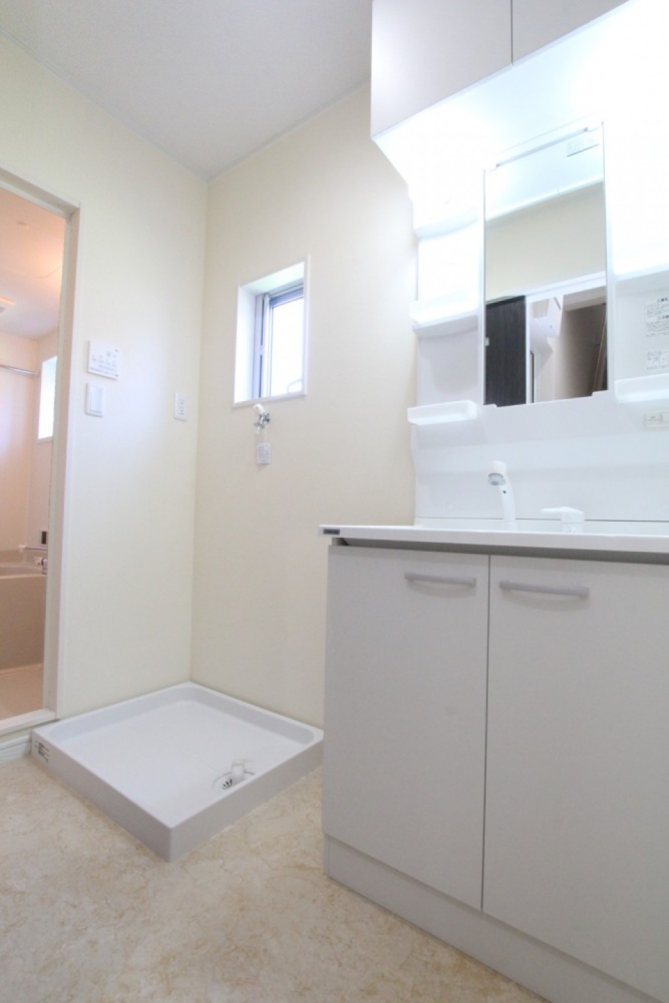 シャンプードレッサー付きの洗面台。