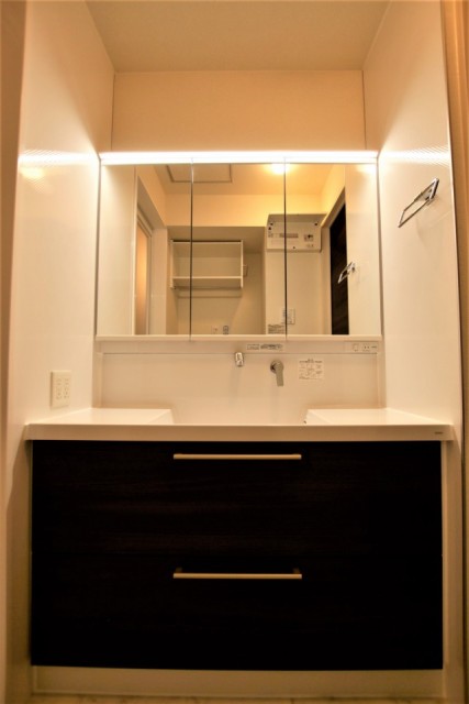 洗面所、見てください！この大きな洗面台！