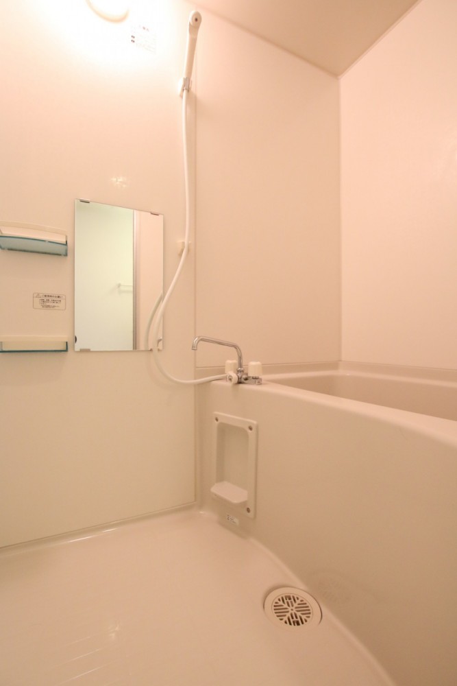 鏡＆ボトル置き場。合格です。