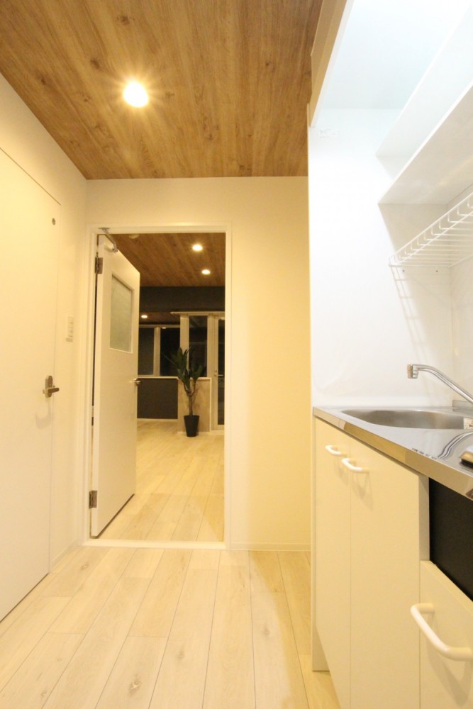 キッチン空間も照明はダウンライト。