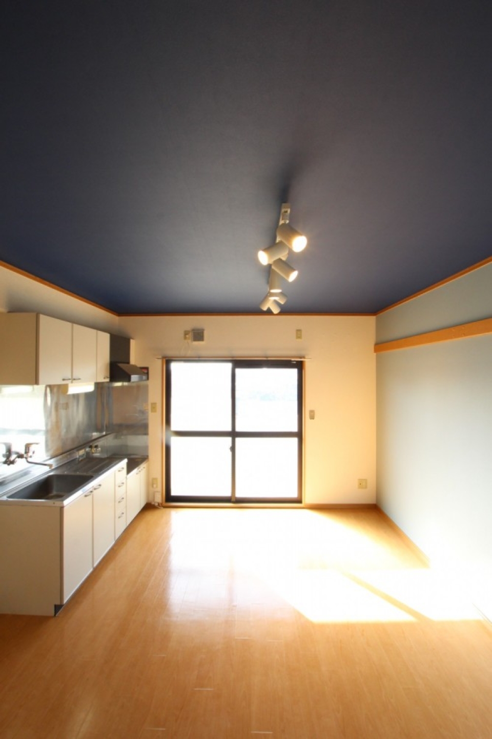 天井のネイビーがいいアクセントになっている