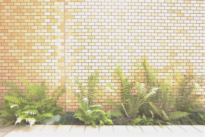 タイルとグリーンがいい雰囲気。