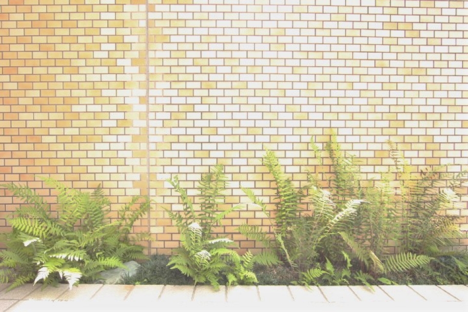 タイルとグリーンがいい雰囲気。