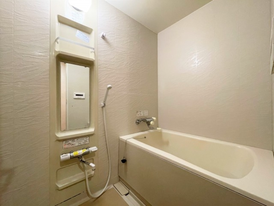 鏡付きの浴室。