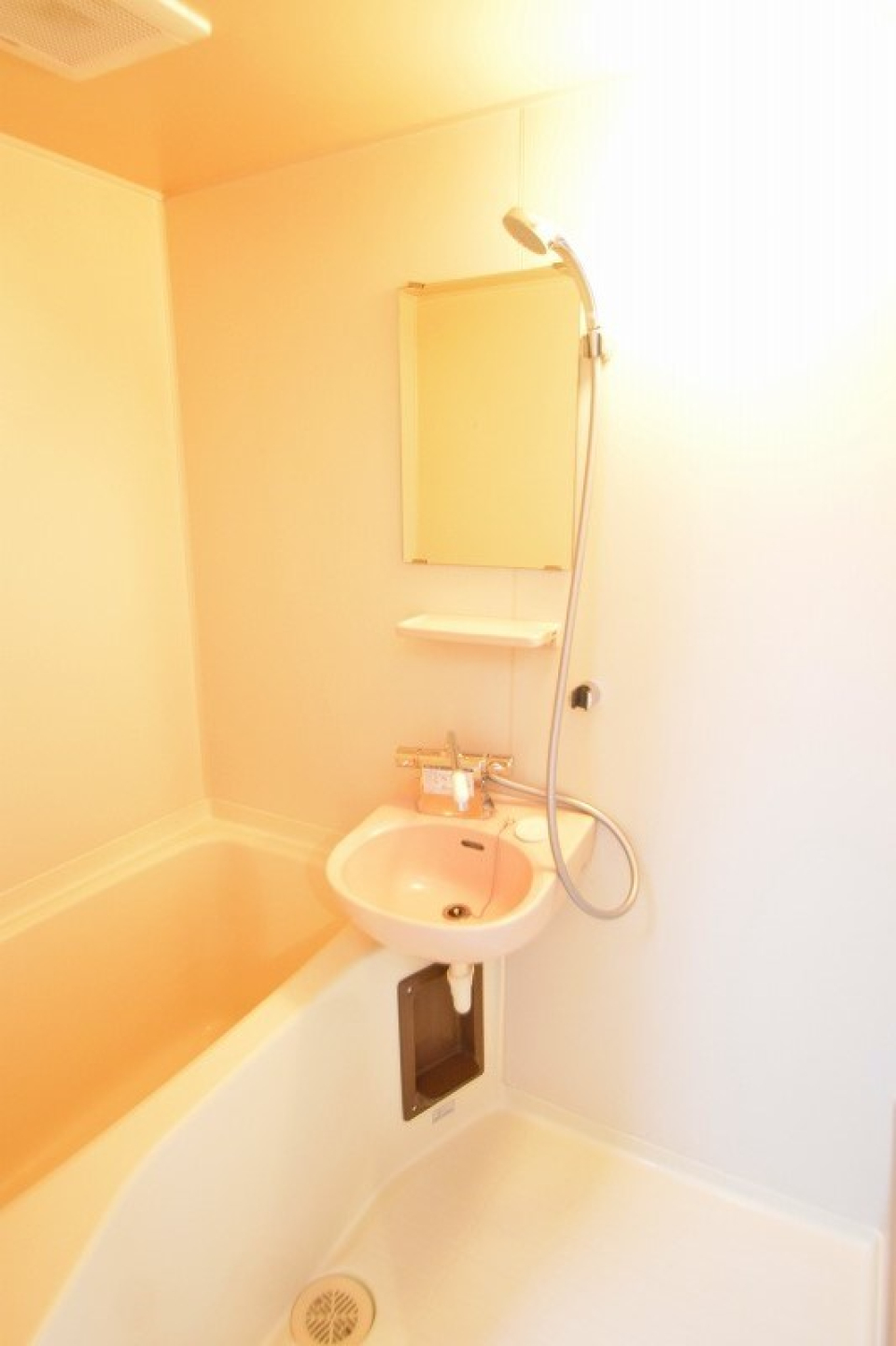 洗面は浴室と一緒です。。。