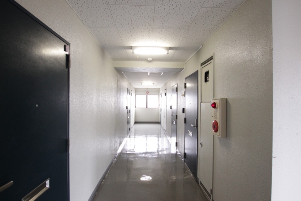 共有部分も明るい。