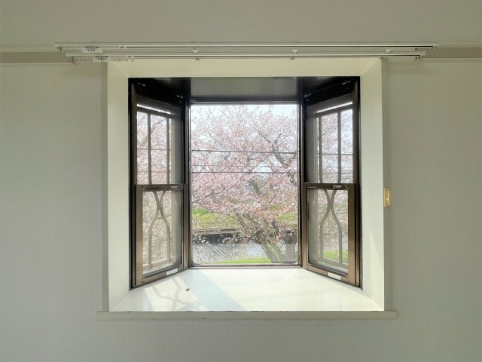 お部屋でお花見気分！