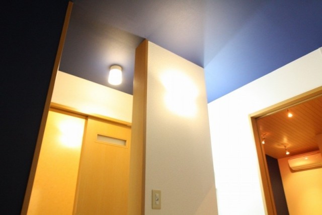 知性と感性を併せ持った気品高い色合い。