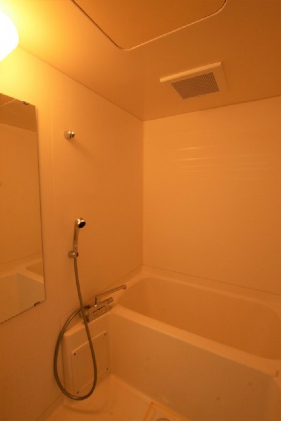 鏡付きの浴室。