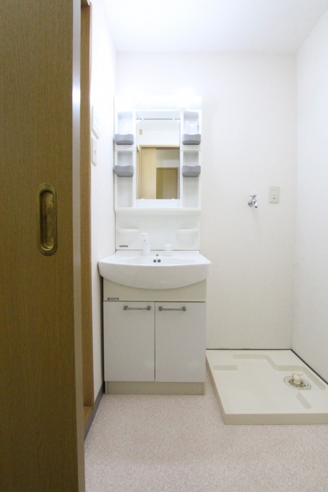 室内洗濯機置場付きの洗面スペース。