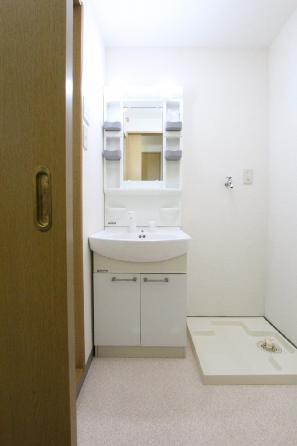 室内洗濯機置場付きの洗面スペース。