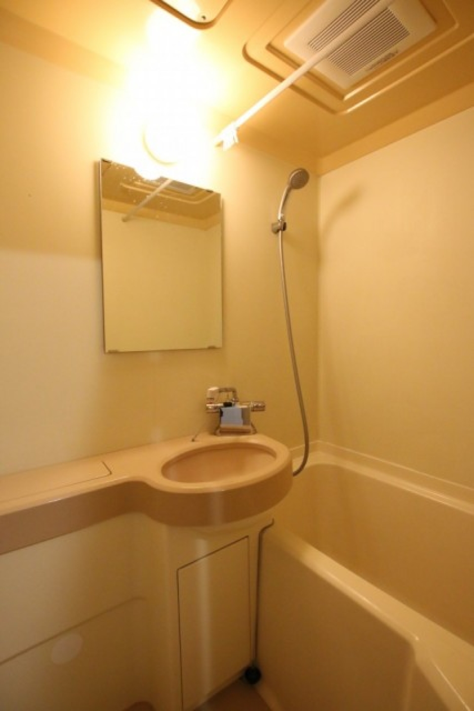 鏡付きの浴室。