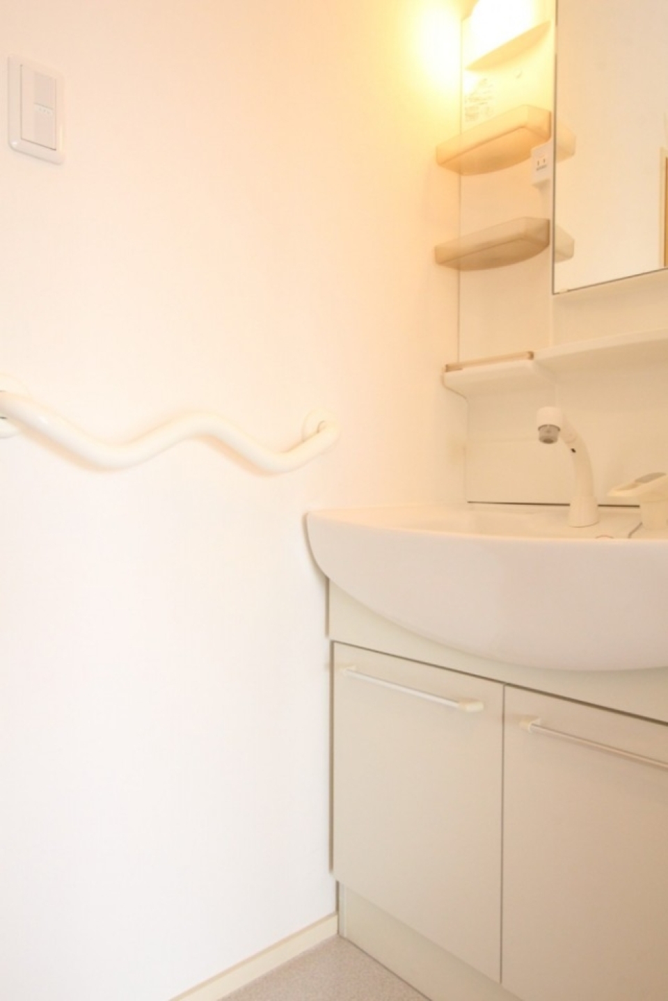 洗面台のシャンプードレッサーも充実しています。手すり付きです。