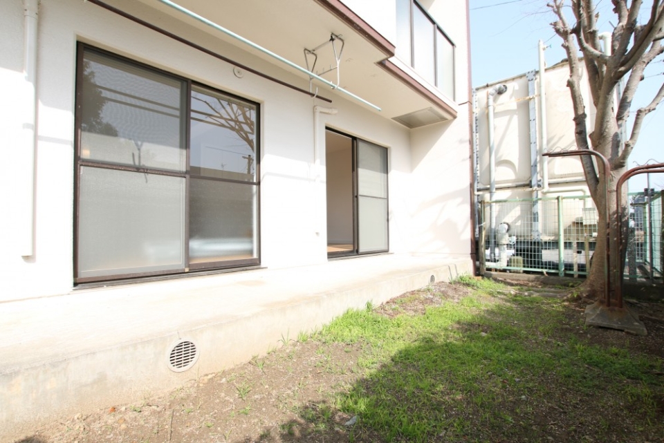 お庭にはケヤキの木が生えている。