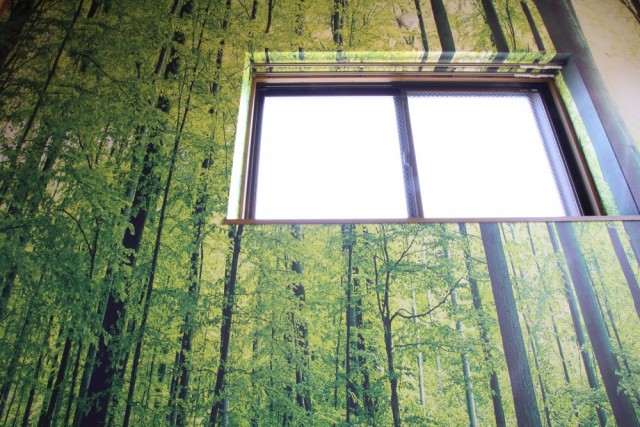 竹林の古道を通る一場面の様な...。