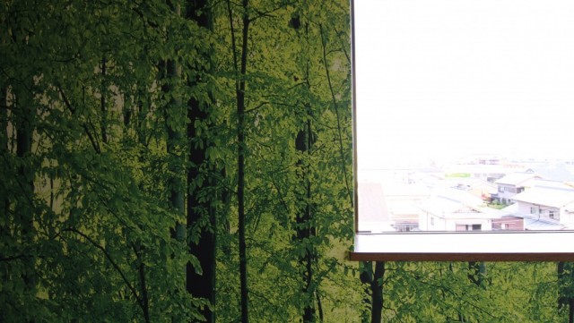 竹林から浜松の町並が見える不思議な空間。