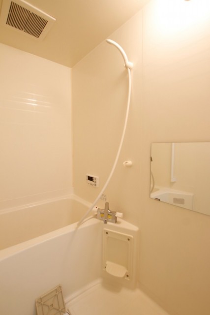 鏡付きの浴室。