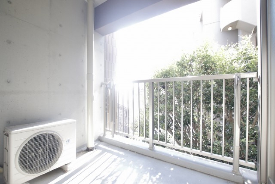 ベランダも緑豊か