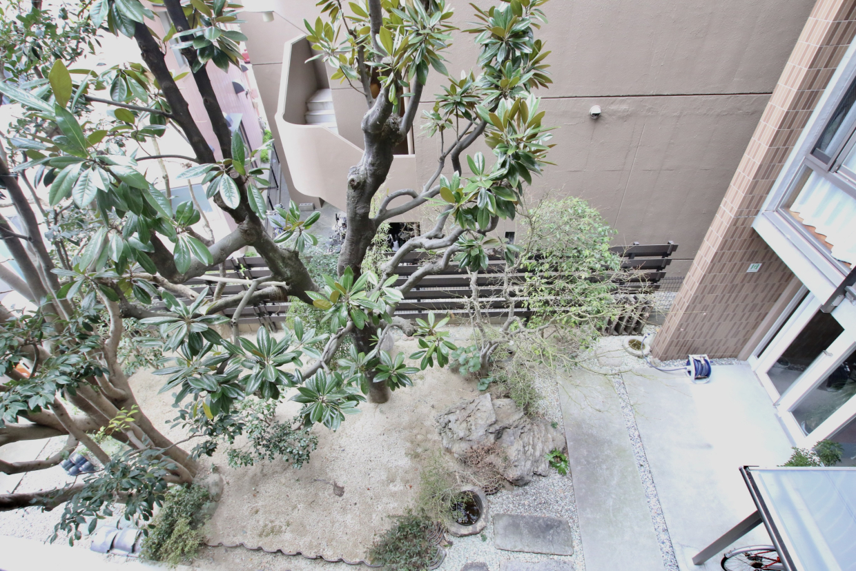 共有部には植栽も