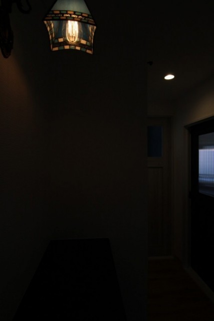 暗闇にそっと浮かび上がる姿がこれまたいい！！。