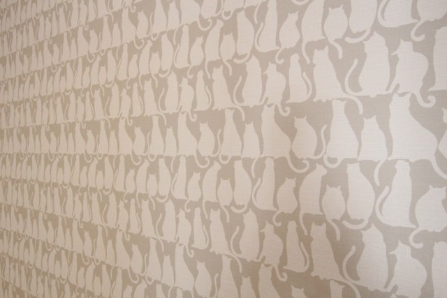 壁紙はねこ、ネコ、猫だらけ。